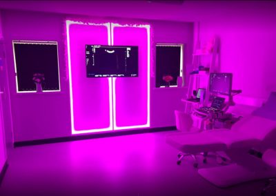 Scanning Room Pink