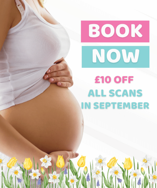 halifax offer banner september mobile