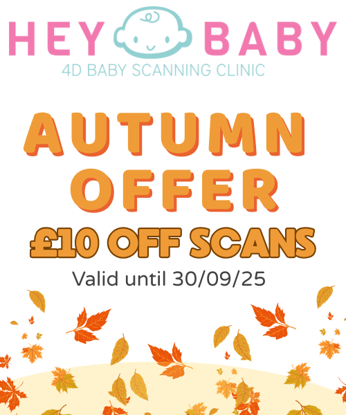 hayes autumn promo mobile