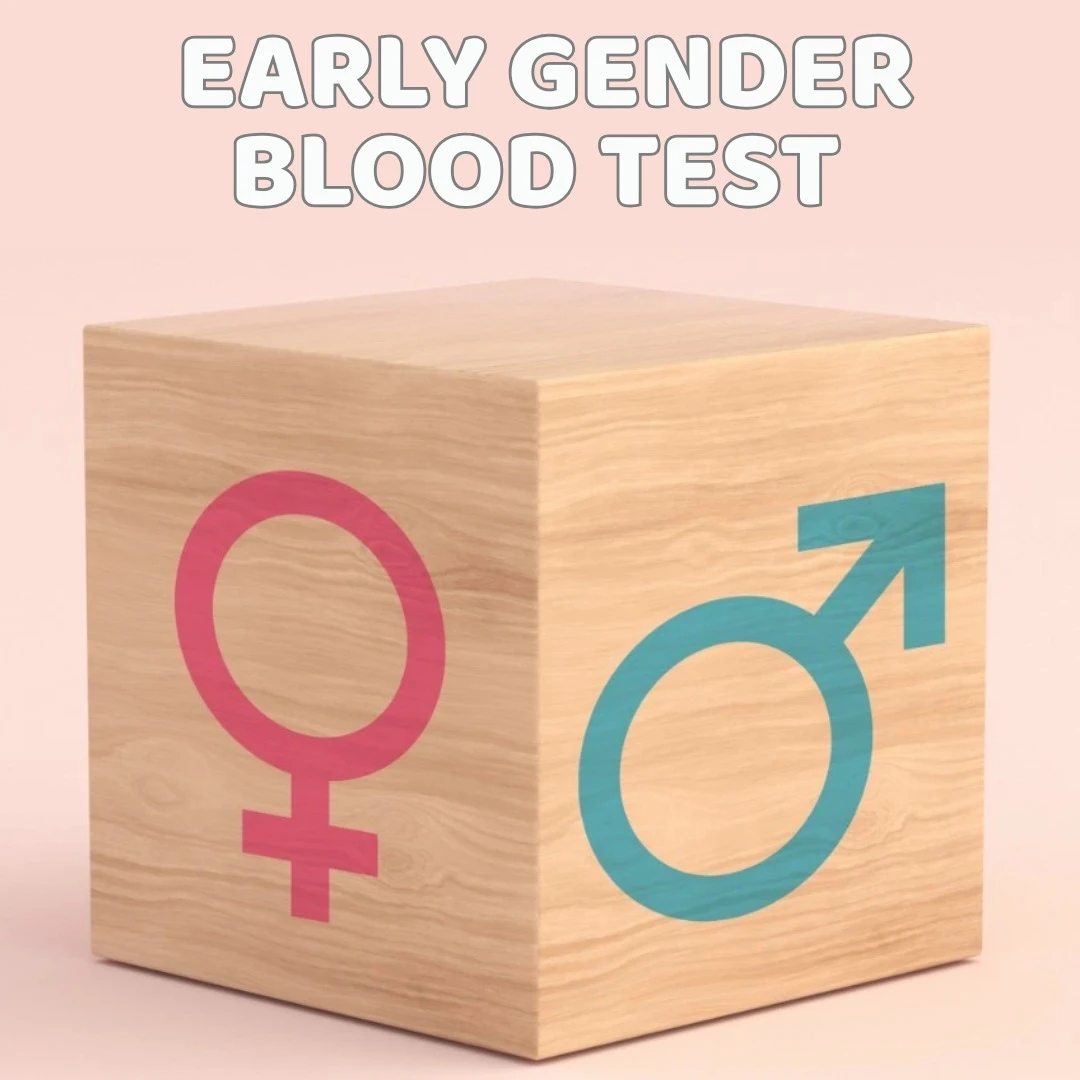 early gender blood test graphic