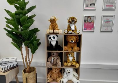 heybaby4d warwick merch teddy bears